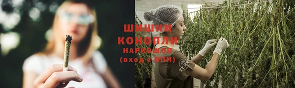 МДПВ Навашино