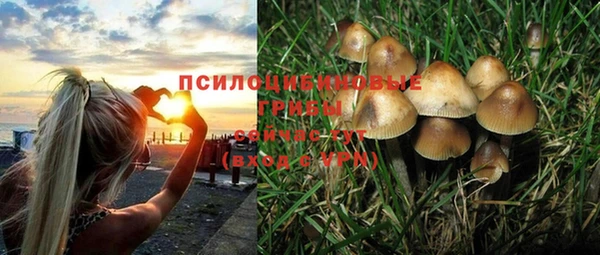 МДПВ Навашино