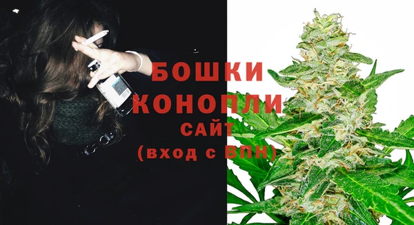 ГАЛЛЮЦИНОГЕННЫЕ ГРИБЫ Надым