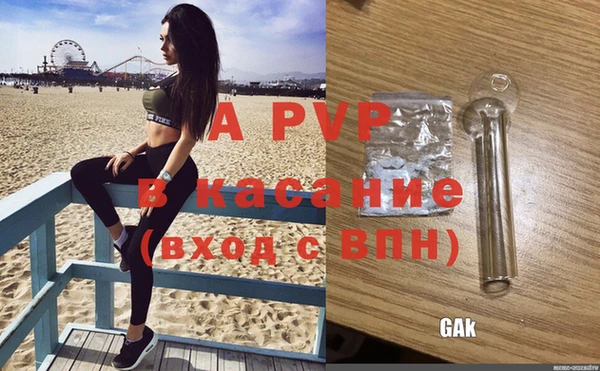 ГАЛЛЮЦИНОГЕННЫЕ ГРИБЫ Надым