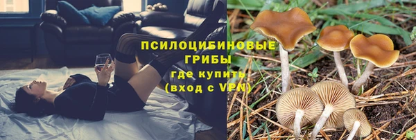 МДПВ Навашино